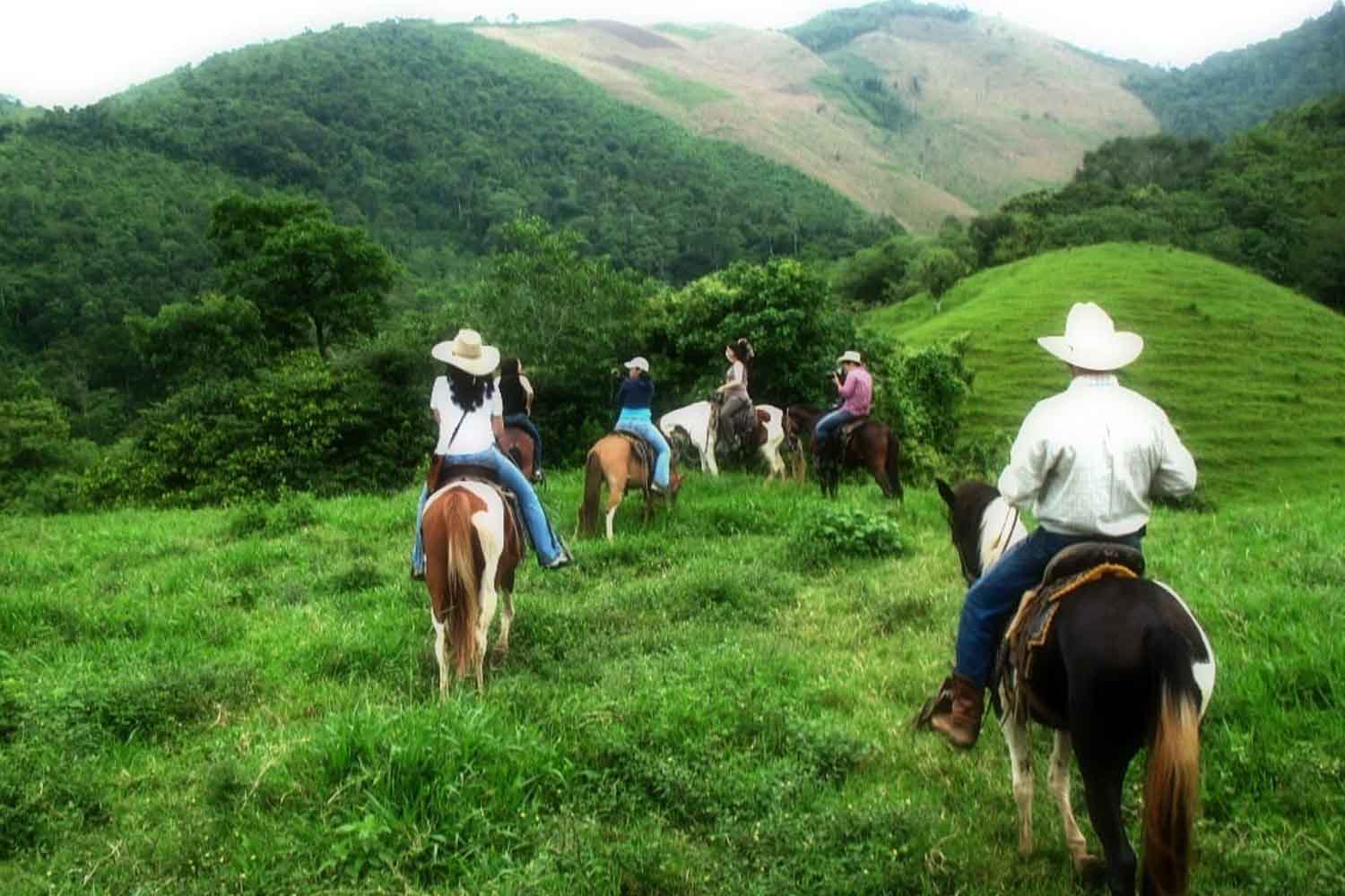 تاریخچه گردشگری روستایی